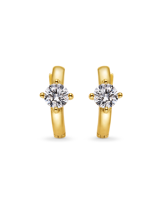 PENDIENTES ARO CIRCONITA